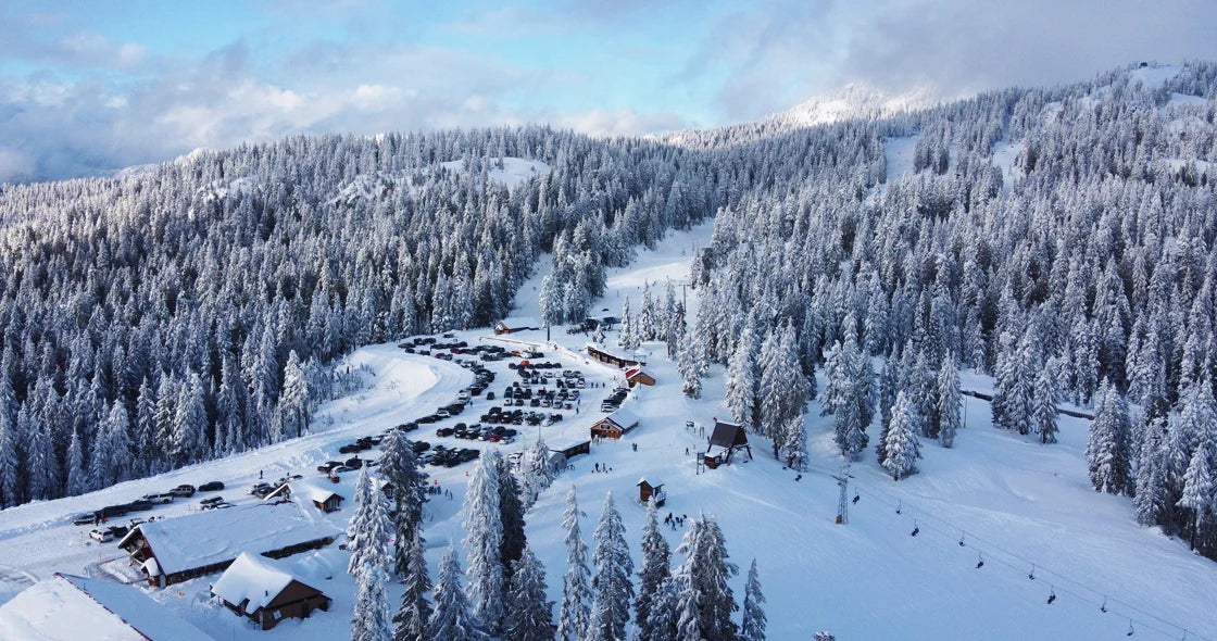 Mt. Seymour