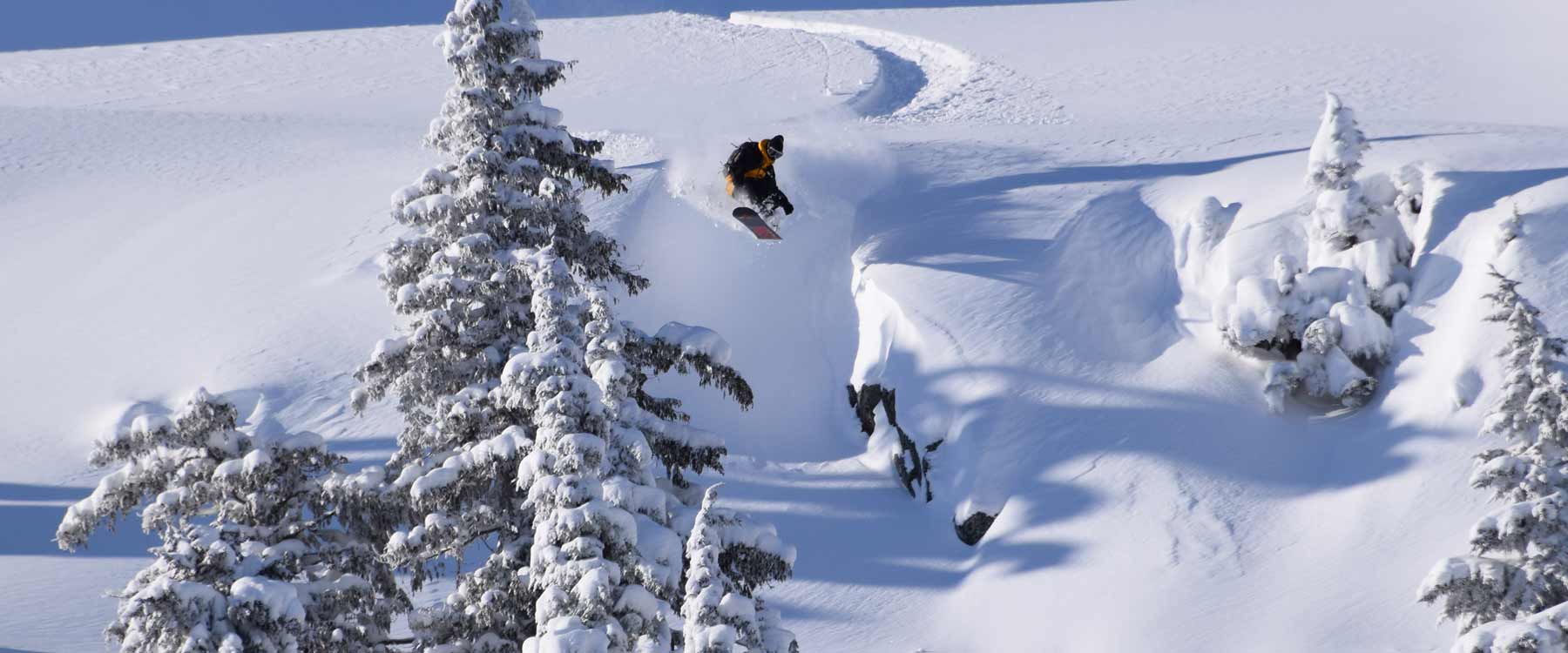 Wired Snowboards